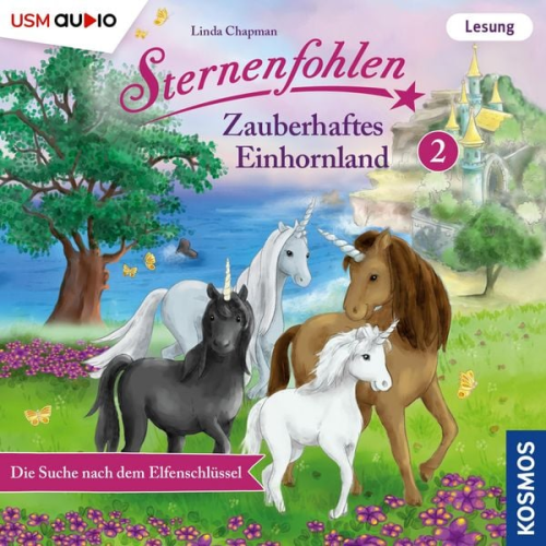 Linda Chapman Cordula Setsman - Die Suche nach dem Elfenschlüssel