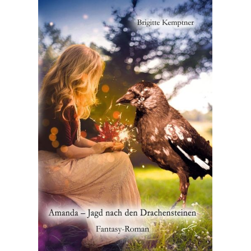 Brigitte Kemptner - Amanda – Jagd nach den Drachensteinen