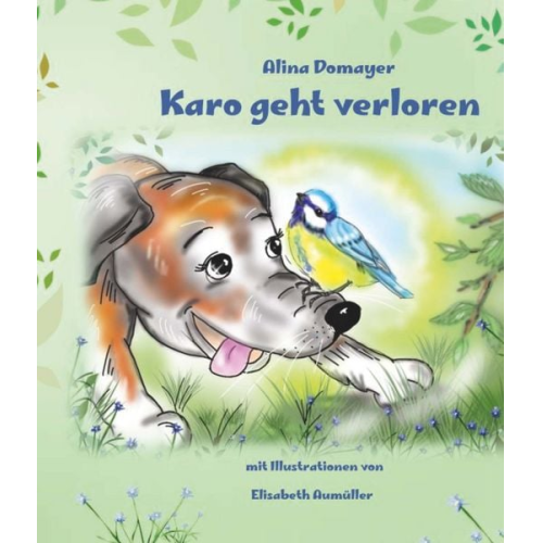 Alina Domayer - Karo geht verloren