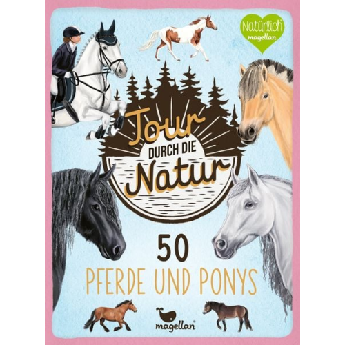 Tour durch die Natur - 50 Pferde und Ponys