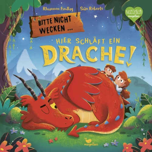 Rhiannon Findlay - Bitte nicht wecken ... Hier schläft ein Drache!