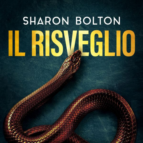 Sharon Bolton - Il risveglio