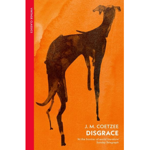 J.M. Coetzee - Disgrace