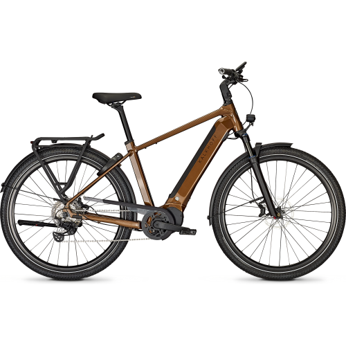 Kalkhoff ENDEAVOUR 5+ ADVANCE (625 Wh), 10 Gang Kettenschaltung, Herrenfahrrad, Diamant, Modell 2025, 29 Zoll 58 cm goldbrown glossy