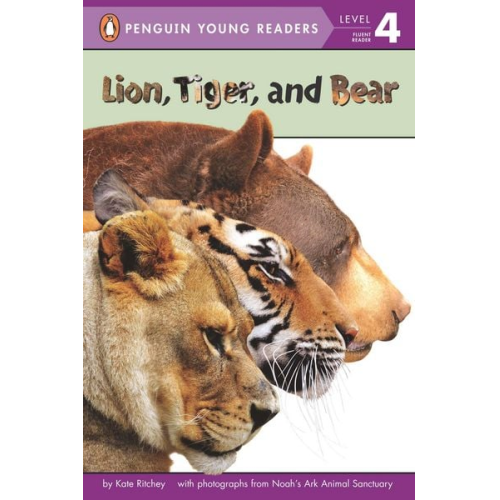 Kate Ritchey - Lion, Tiger, and Bear