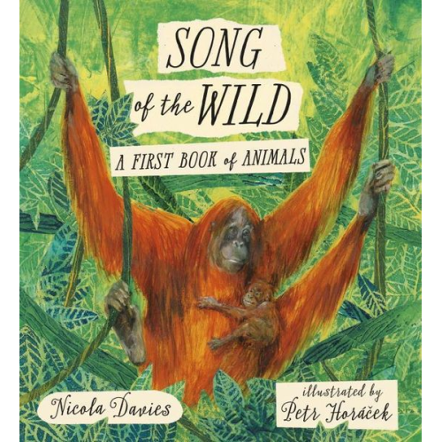 Nicola Davies - Song of the Wild: A First Book of Animals