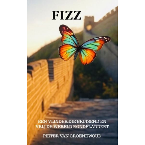 Pieter van Groenewoud - FIZZ