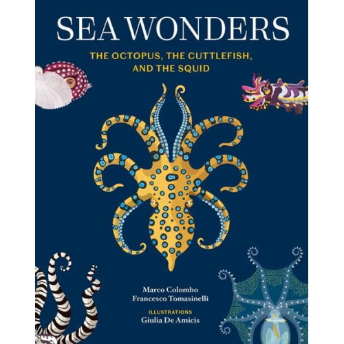 Marco Colombo Francesco Tomasinelli - Sea Wonders