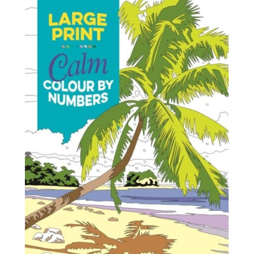Arcturus Publishing Limited - Large Print Calm Colour by Numbers