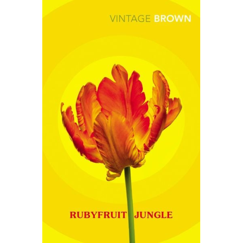 Rita Mae Brown - Rubyfruit Jungle