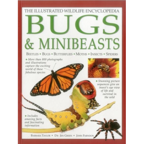 Barbara Taylor Jen Green John Farndon - The Illustrated Wildlife Encyclopedia: Bugs & Minibeasts