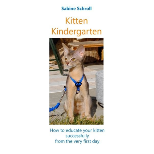 Sabine Schroll - Kitten Kindergarten