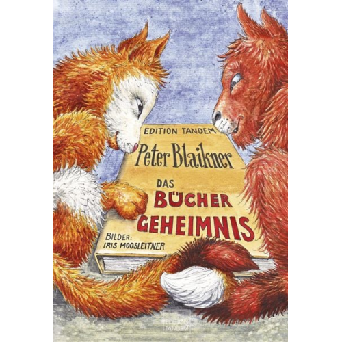 Peter Blaikner - Das Büchergeheimnis