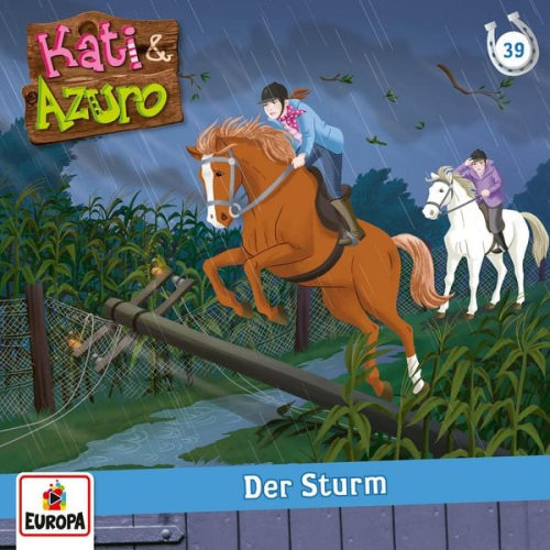 Anna Benzing - Folge 39: Der Sturm