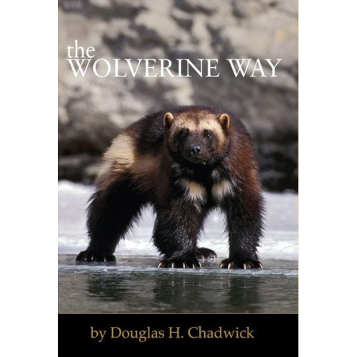 Douglas H. Chadwick - The Wolverine Way