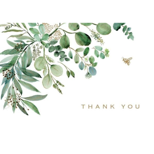 Eucalyptus Thank You Note Cards (14 Cards, 15 Self-Sealing Envelopes)