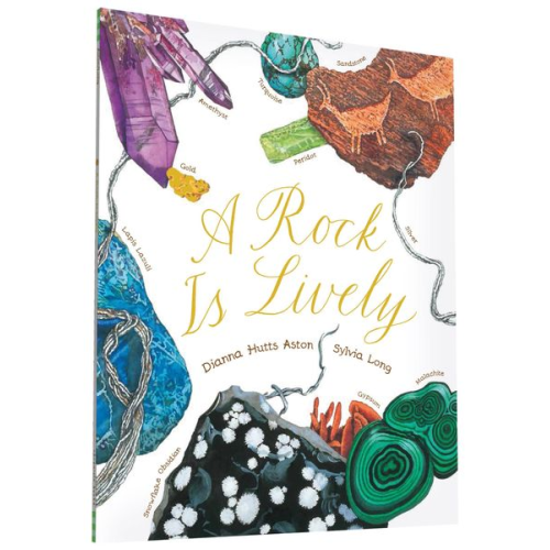 Dianna Hutts Aston - A Rock Is Lively