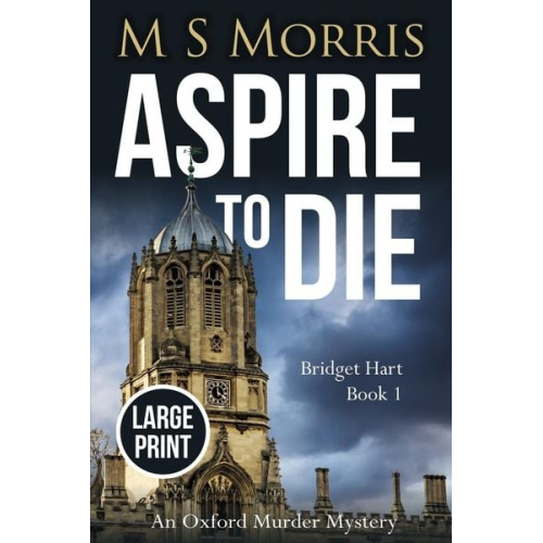 M. S. Morris - Aspire to Die (Large Print)