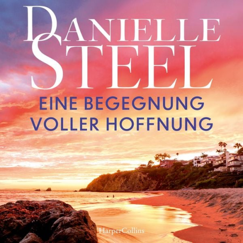 Danielle Steel - Eine Begegnung voller Hoffnung