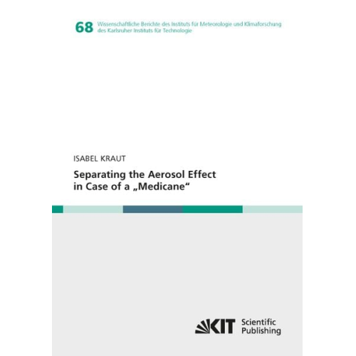 Isabel Kraut - Separating the Aerosol Effect in Case of a "Medicane"