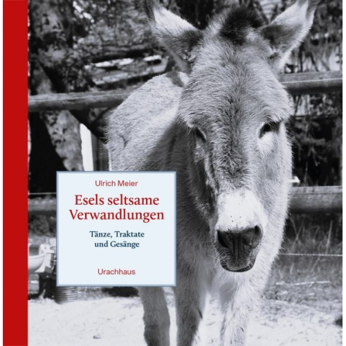 Ulrich Meier - Esels seltsame Verwandlungen
