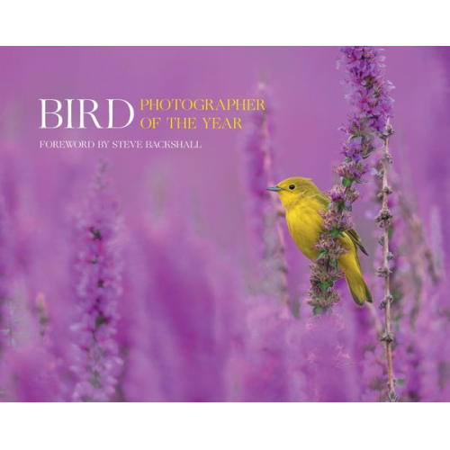Bird Photographer of the Year - Bird Photographer of the Year