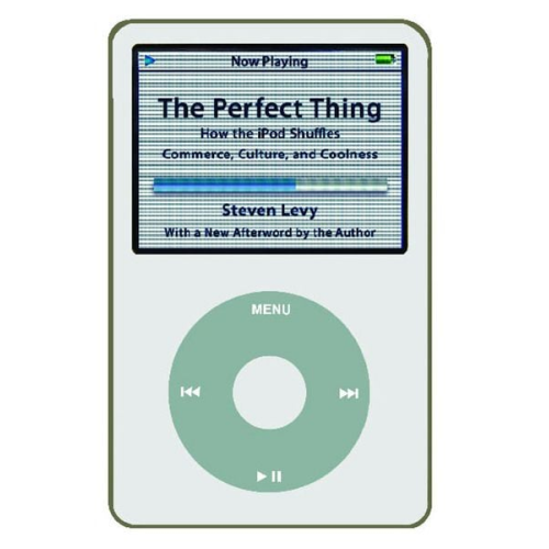 Steven Levy - Perfect Thing