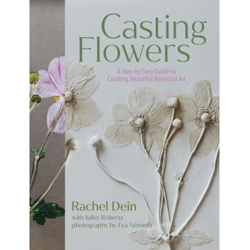 Rachel Dein - Casting Flowers