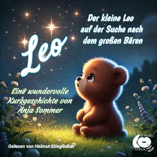 Anja Sommer - Der kleine Leo auf der Suche nach dem großen Bären