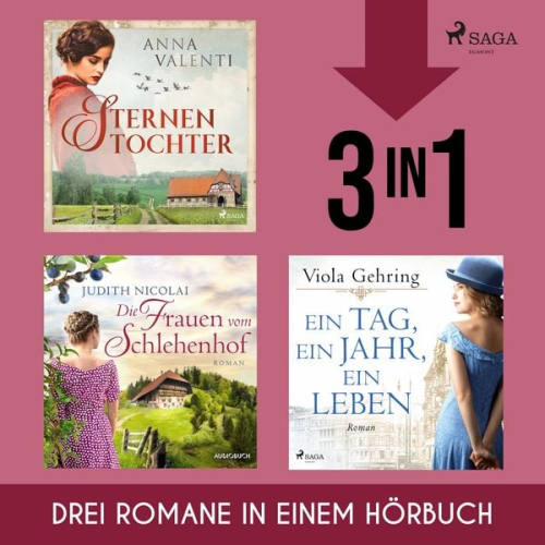 Viola Gehring Judith Nicolai Anna Valenti - Sternentochter, Die Frauen vom Schlehenhof & Ein Tag, ein Jahr, ein Leben
