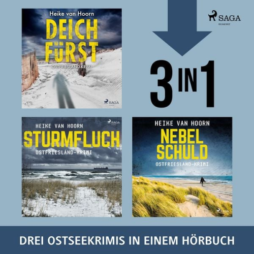 Heike van Hoorn - Deichfürst, Sturmfluch, Nebelschuld