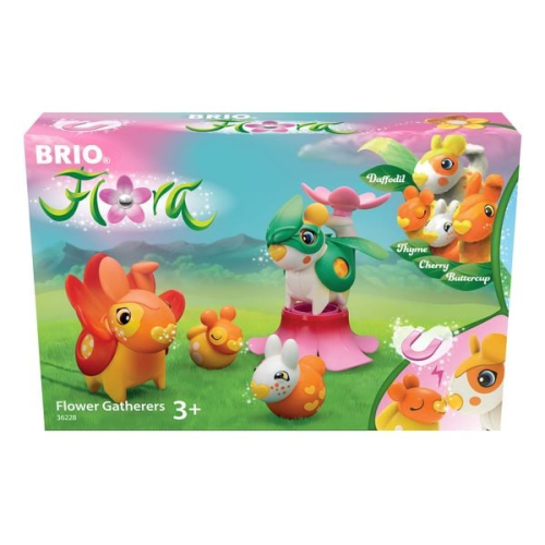 BRIO Flora - Blumensammler