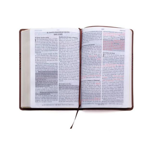 Santa Biblia de Promesas Reina Valera 1960 / Letra Gigante - 13 Puntos / Piel Especial Con Índice Y Cierre / Café // Spanish Promise Bible Rvr 1960 /