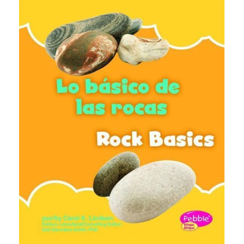 Carol Lugtu Carol K. Lindeen - Lo Básico de Las Rocas/Rock Basics