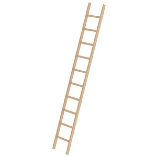 MUNK Anlegeleiter 33110 natur 10 Sprossen, H: 300,0 cm