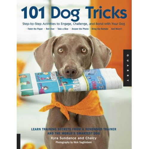 Kyra Sundance Chalcy - 101 Dog Tricks