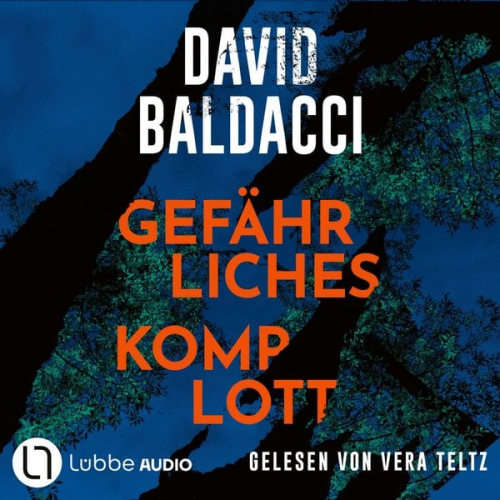 David Baldacci - Gefährliches Komplott