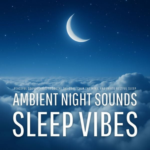 Ambient Night Sounds Lab - Sleep Vibes: Ambient Night Sounds
