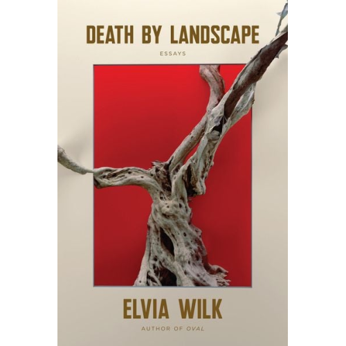 Elvia Wilk - Death by Landscape