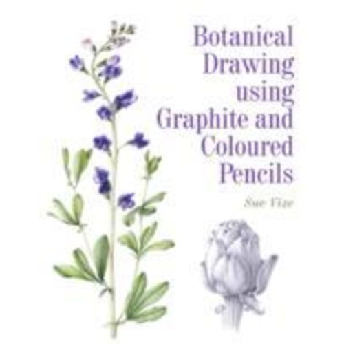 Sue Vize - Botanical Drawing using Graphite and Coloured Pencils