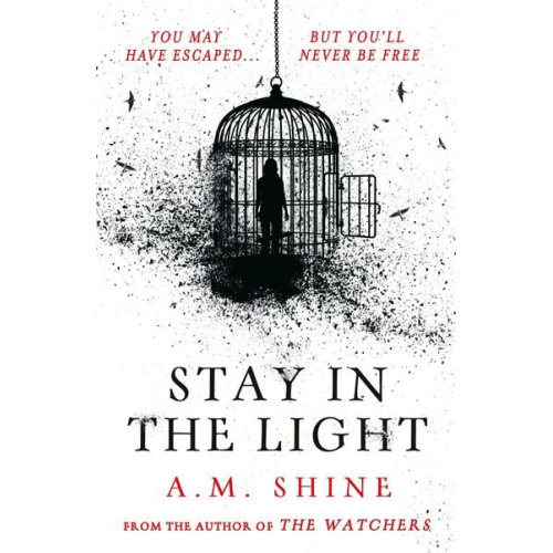A. M. Shine - Stay in the Light