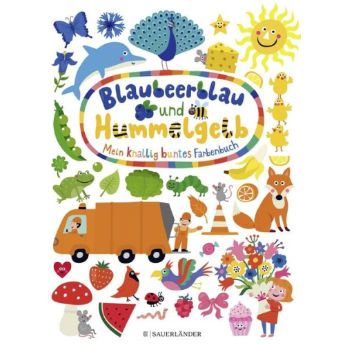 Blaubeerblau und Hummelgelb Mein knallig buntes Farbenbuch