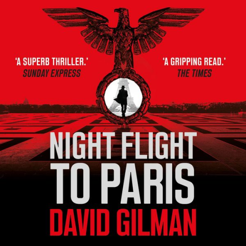 David Gilman - Night Flight to Paris