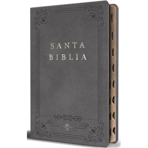 Reina Valera Revisada 1960 - Biblia Rvr 1960 Letra Grande Tamaño Manual, Piel Gris Con Índice / Spanish Bible Rvr 1960 Handy Size Large Print Leathersoft Gray with Index
