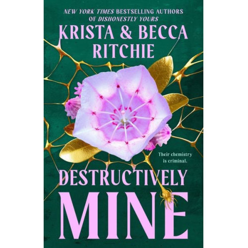 Krista Ritchie Becca Ritchie - Destructively Mine