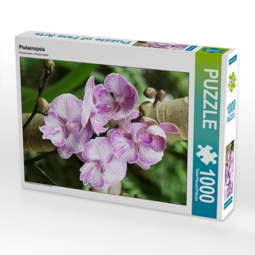 CALVENDO Puzzle Phalaenopsis | 1000 Teile Lege-Größe 64x48cm Foto-Puzzle für glückliche Stunden