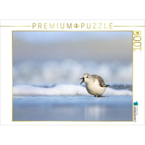 CALVENDO Puzzle Basstölpel (Gannet) | 1000 Teile Lege-Größe 64x48cm Foto-Puzzle für glückliche Stunden