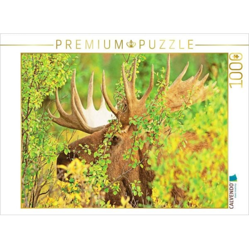 CALVENDO Puzzle Der Elch: König der Hirsche | 1000 Teile Lege-Größe 64x48cm Foto-Puzzle für glückliche Stunden