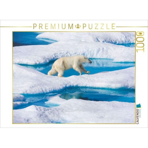 CALVENDO Puzzle Junger Eisbär springt von Eisscholle zu Eisscholle | 1000 Teile Lege-Größe 64x48cm Foto-Puzzle für glückliche Stunden