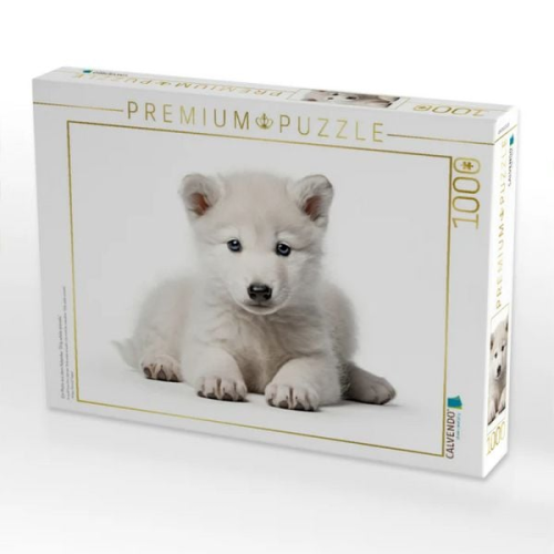 CALVENDO Puzzle Ein Motiv aus dem Kalender "Only white animals" | 1000 Teile Lege-Größe 64x48cm Foto-Puzzle für glückliche Stunden